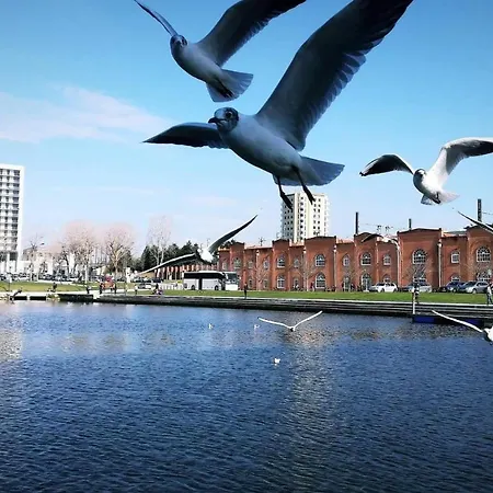 Hébergement de vacances Moradia Entre O Mar E A Ria *