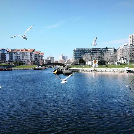 Moradia Entre O Mar E A Ria * Gafanha da Nazaré