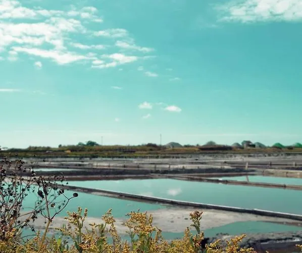 Moradia Entre O Mar E A Ria Σπίτι διακοπών Gafanha da Nazaré