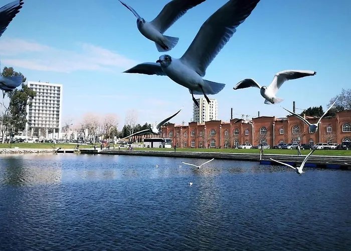 Σπίτι διακοπών Moradia Entre O Mar E A Ria *