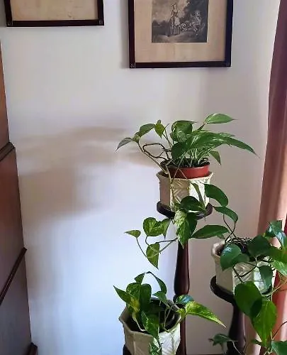 Moradia Entre O Mar E A Ria